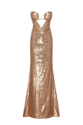 Astonishing  sequined lace maxi dress in gold